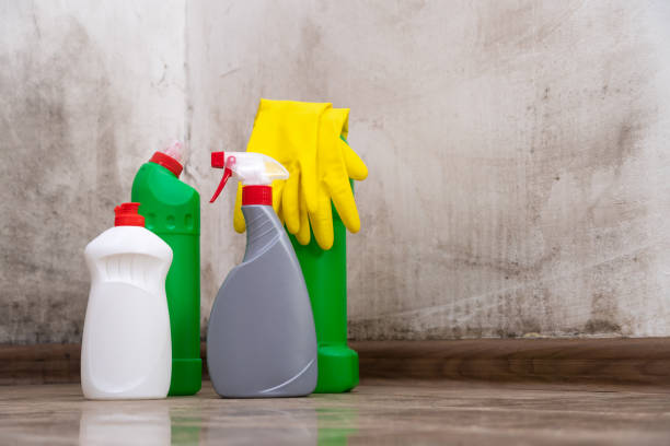 Why You Should Choose Our Mold Remediation Services in Placeholder8